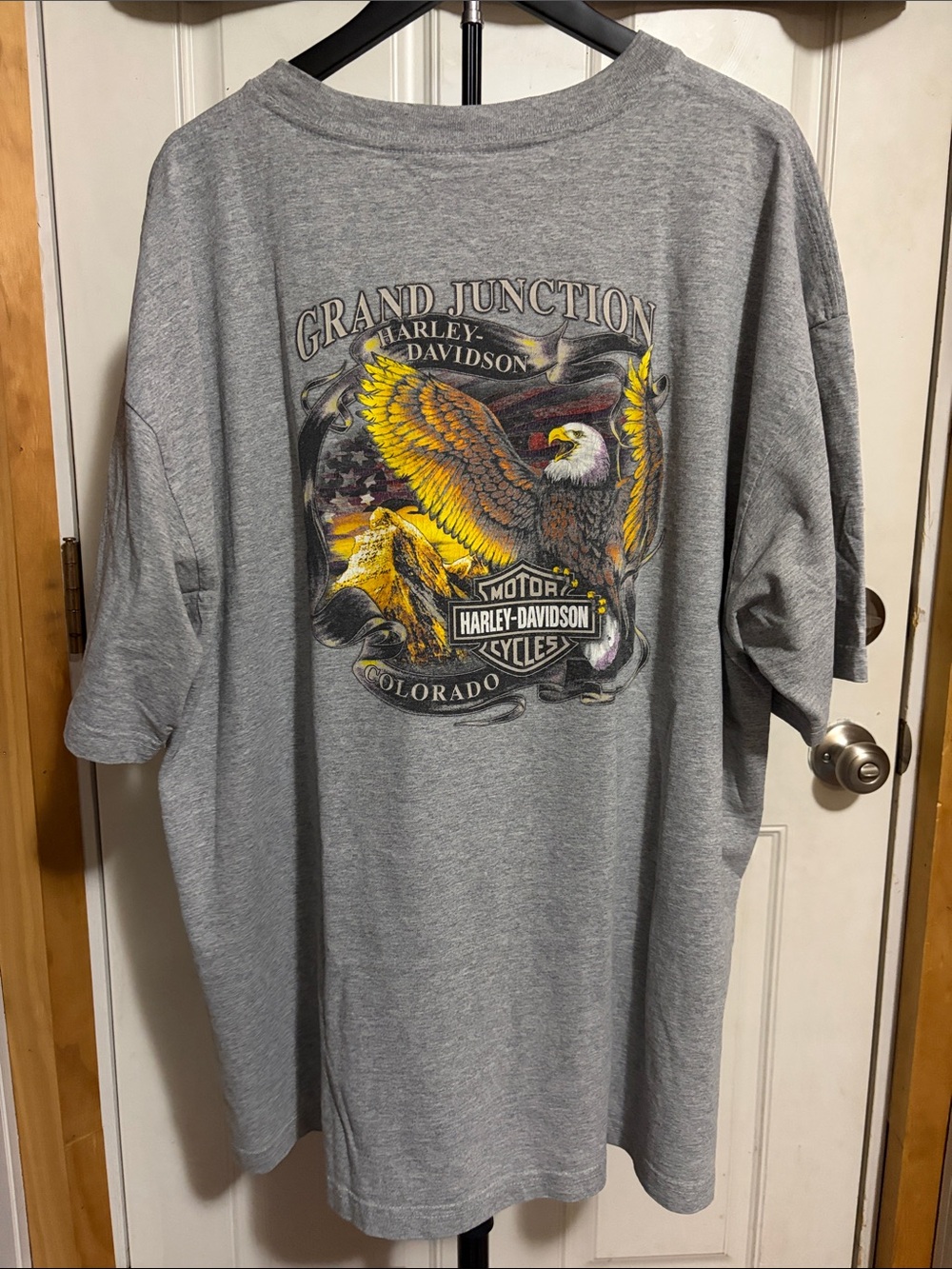 Vintage Y2K Harley Davidson Grand Junction Colorado Gray Tee- Holoubek Tag
